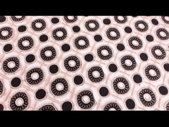 Hàng loạt ren hòa tan trong nước Trim Guipure thêu ren trang trí vải